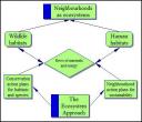Ecosystem approach