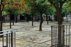 Patio de los Naranjos, Sevilla