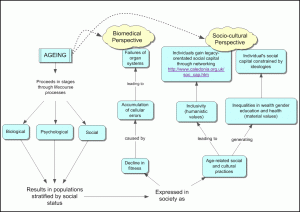 ecological model2